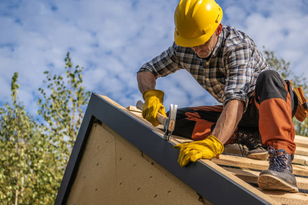 Best Gutter Installation and Repair  in Roseland, FL